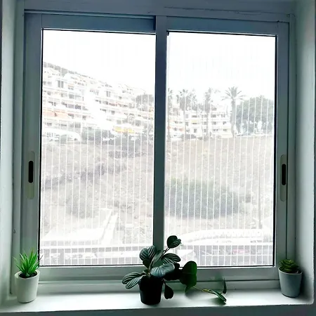 Los Cristianos Centro 5 Min Da Las Vistas アパート